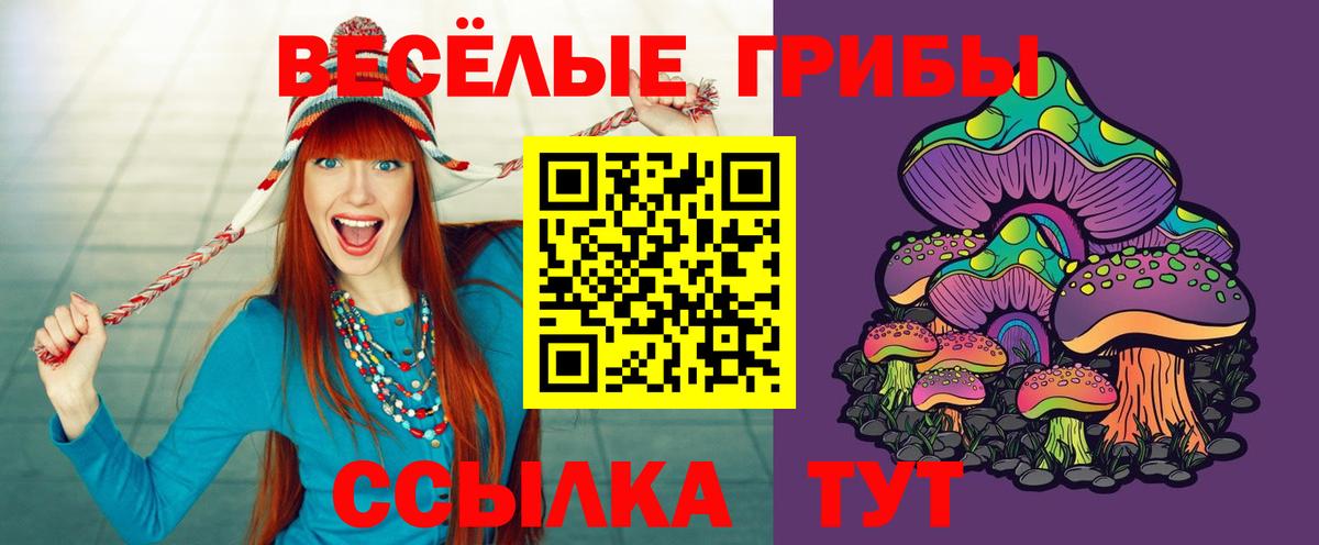 Галлюциногенные грибы Magic Shrooms Саяногорск
